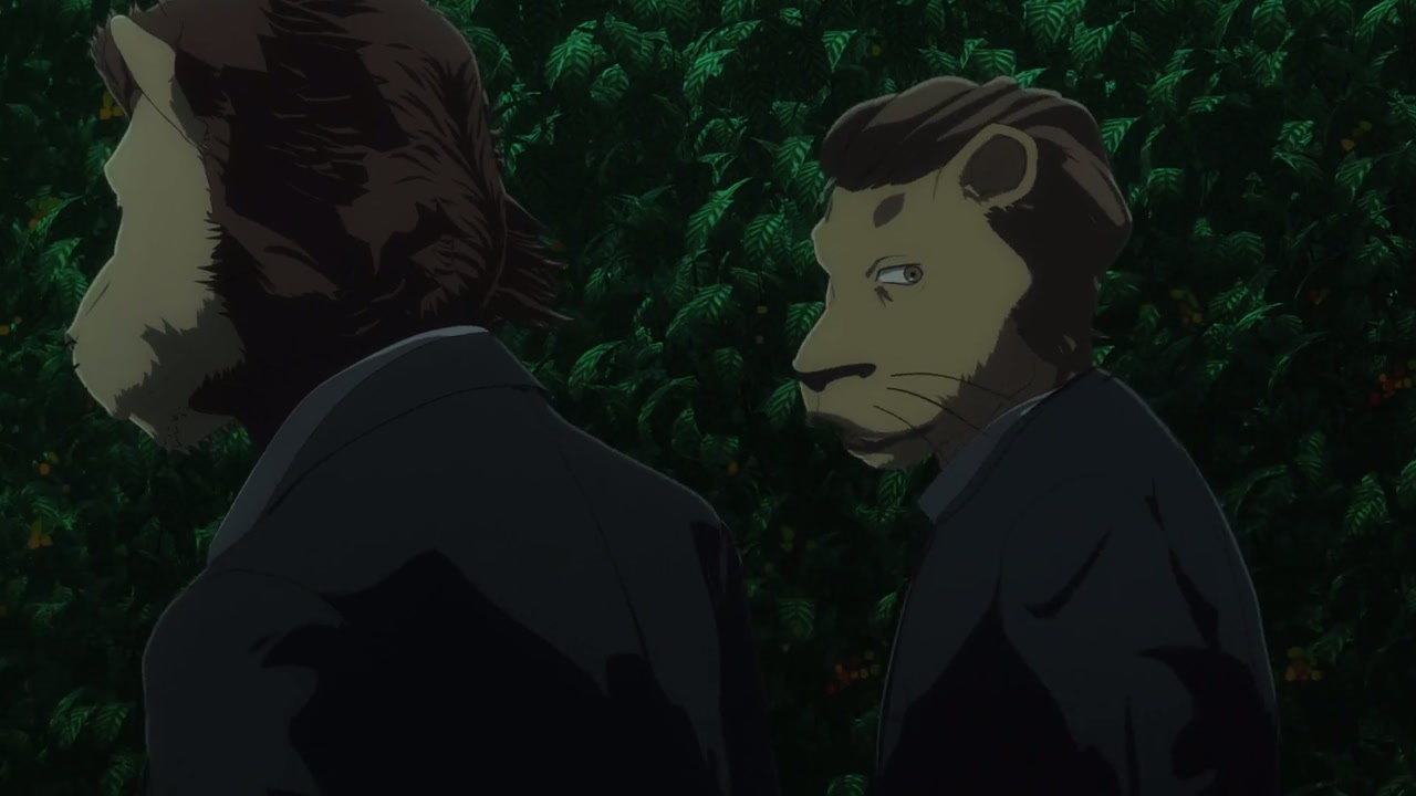 Episódio 005