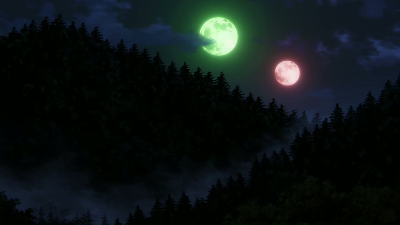 Episódio 005