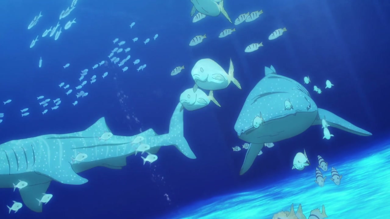 Episódio 003