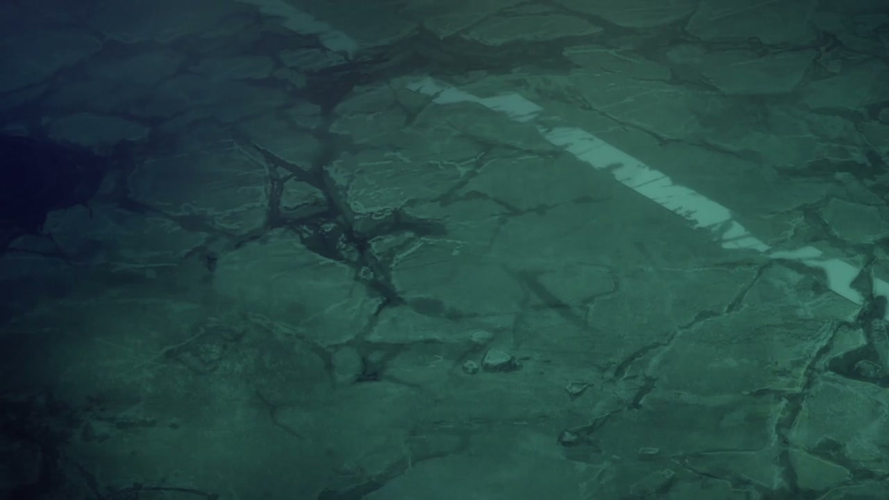 Episódio 010