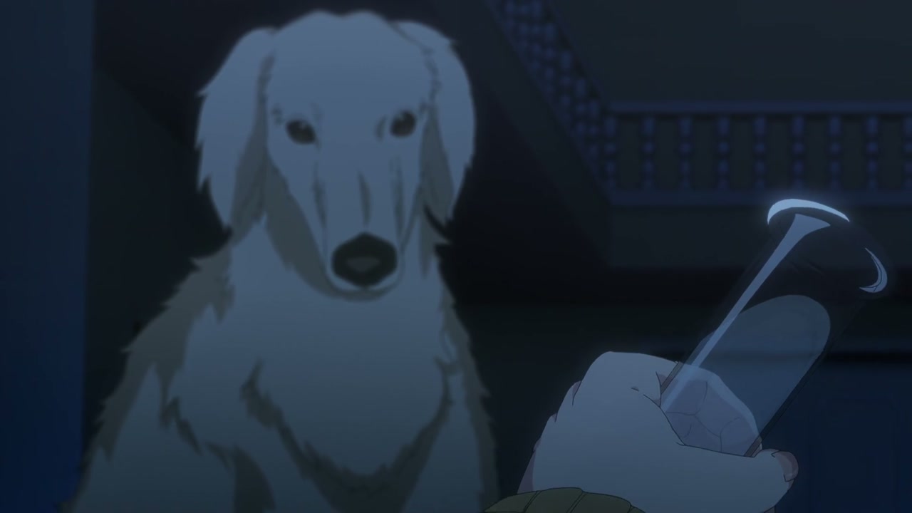 Episódio 010