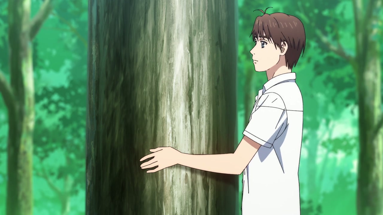 Episódio 005