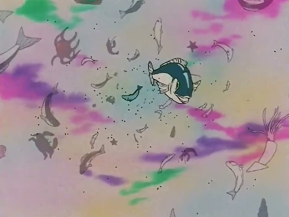 Episódio 051