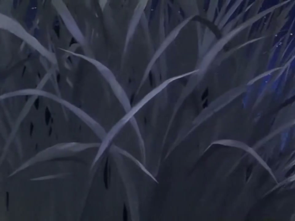 Episódio 003