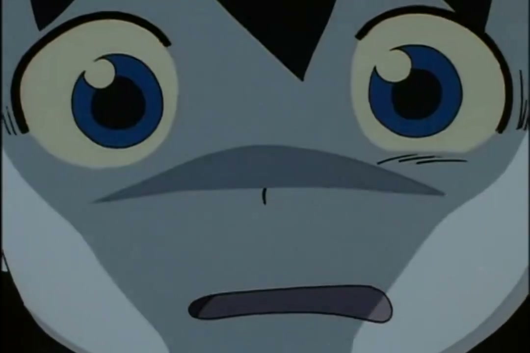 Episódio 006