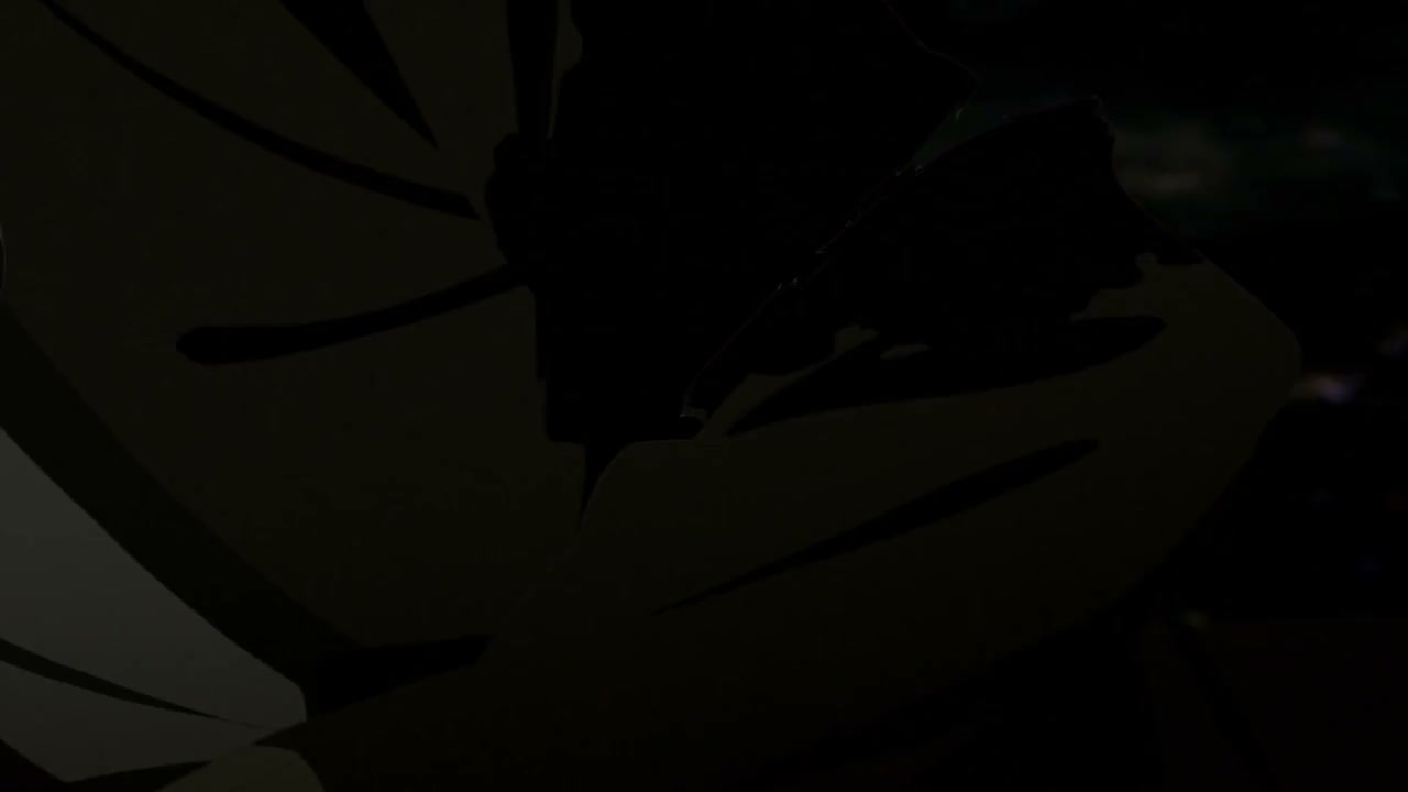 Episódio 004