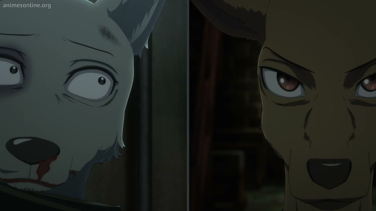 Episódio 009