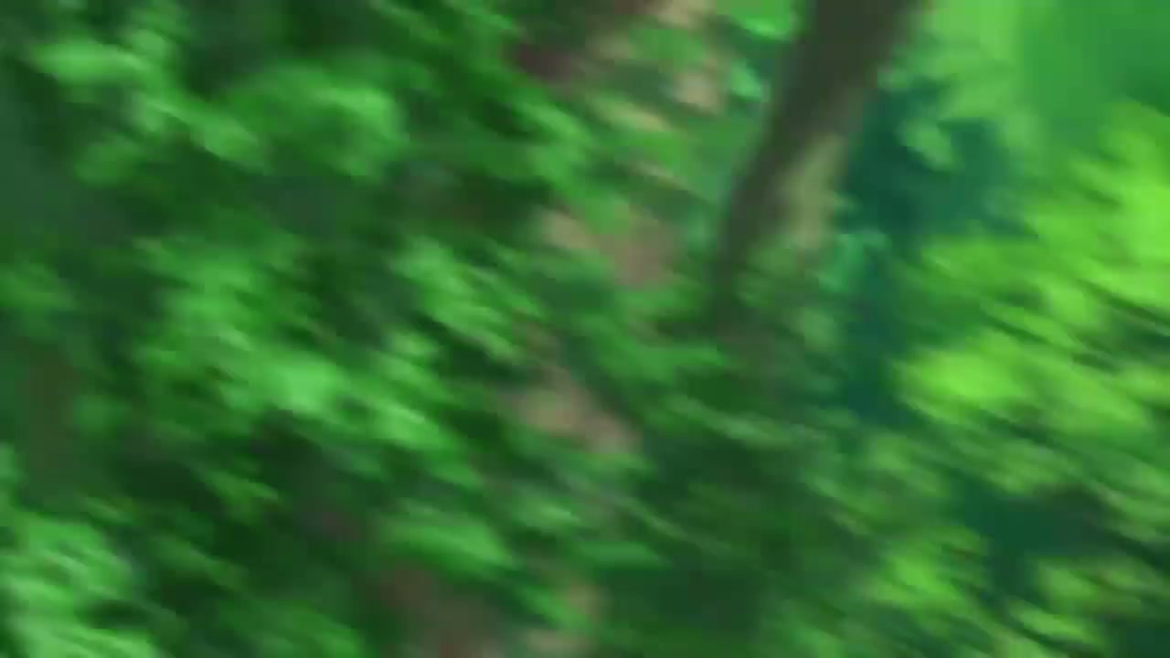 Episódio 001