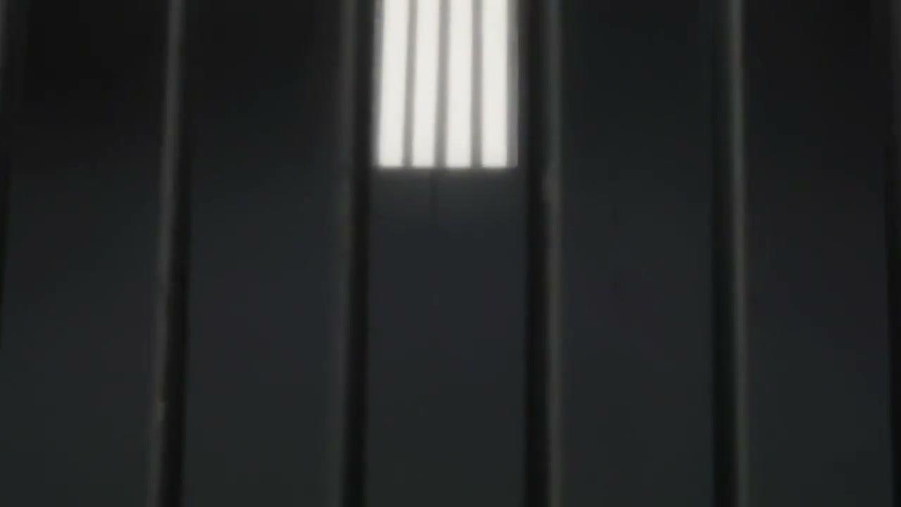 Episódio 186