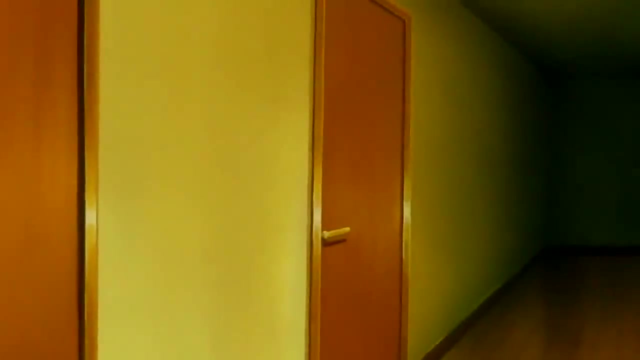 Episódio 229
