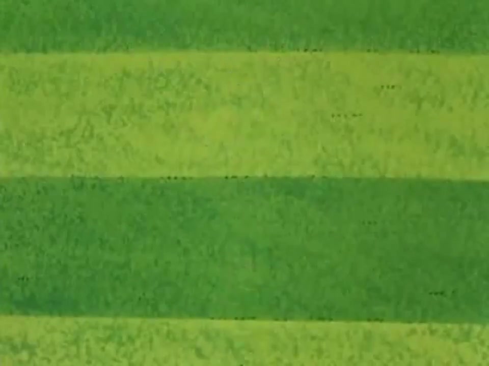 Episódio 043