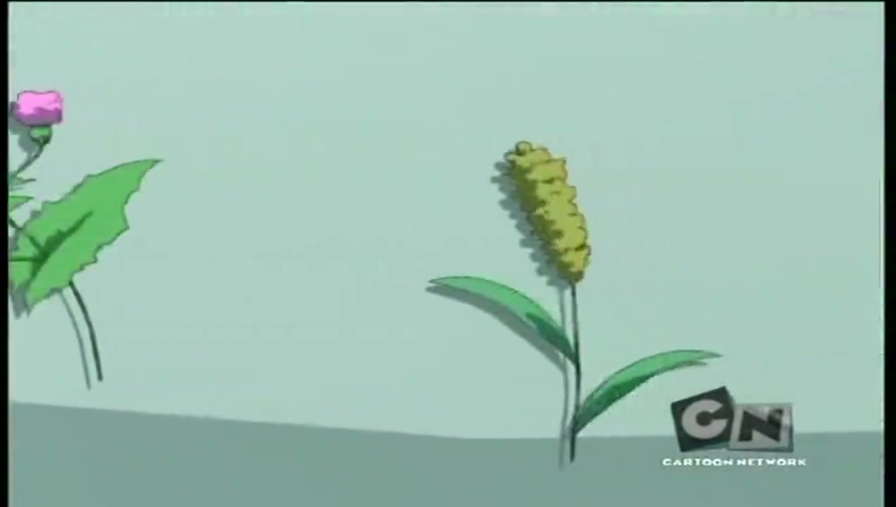 Episódio 035
