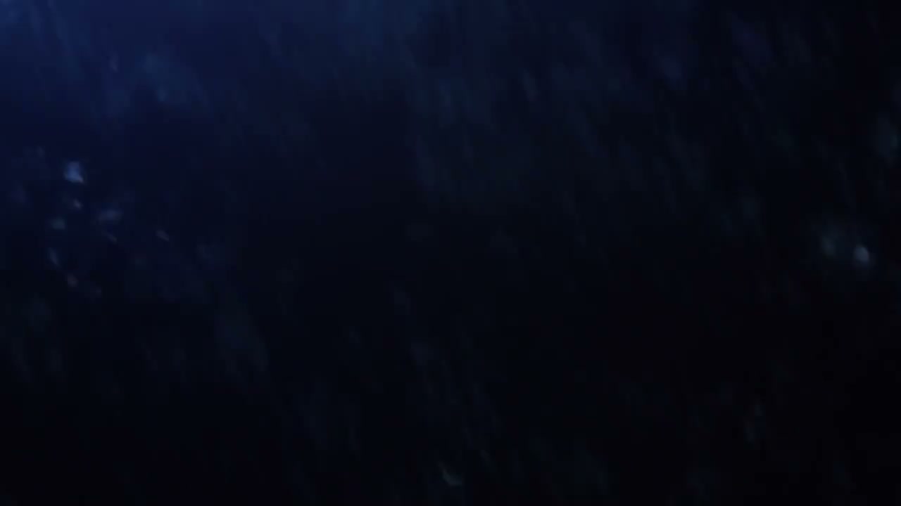 Episódio 002