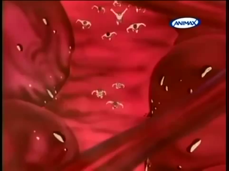 Episódio 004