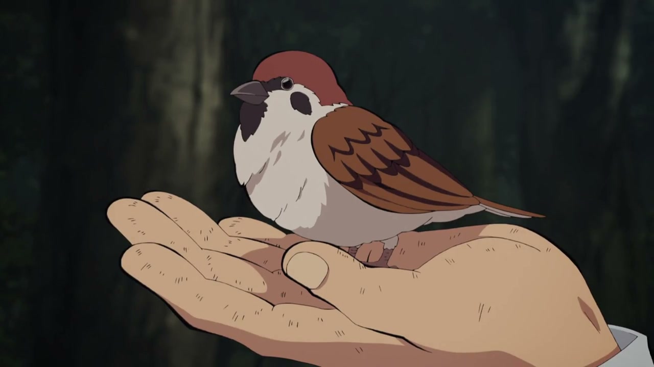 Episódio 011