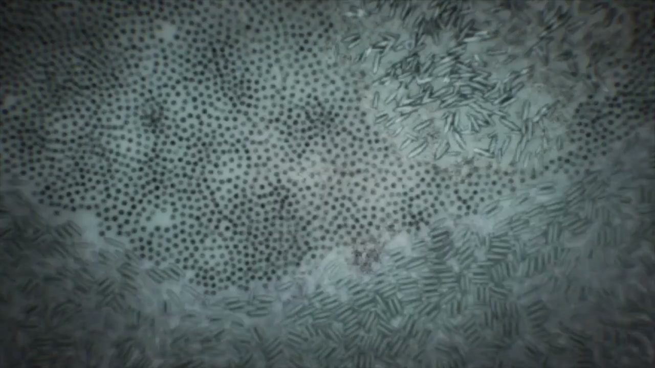 Episódio 024