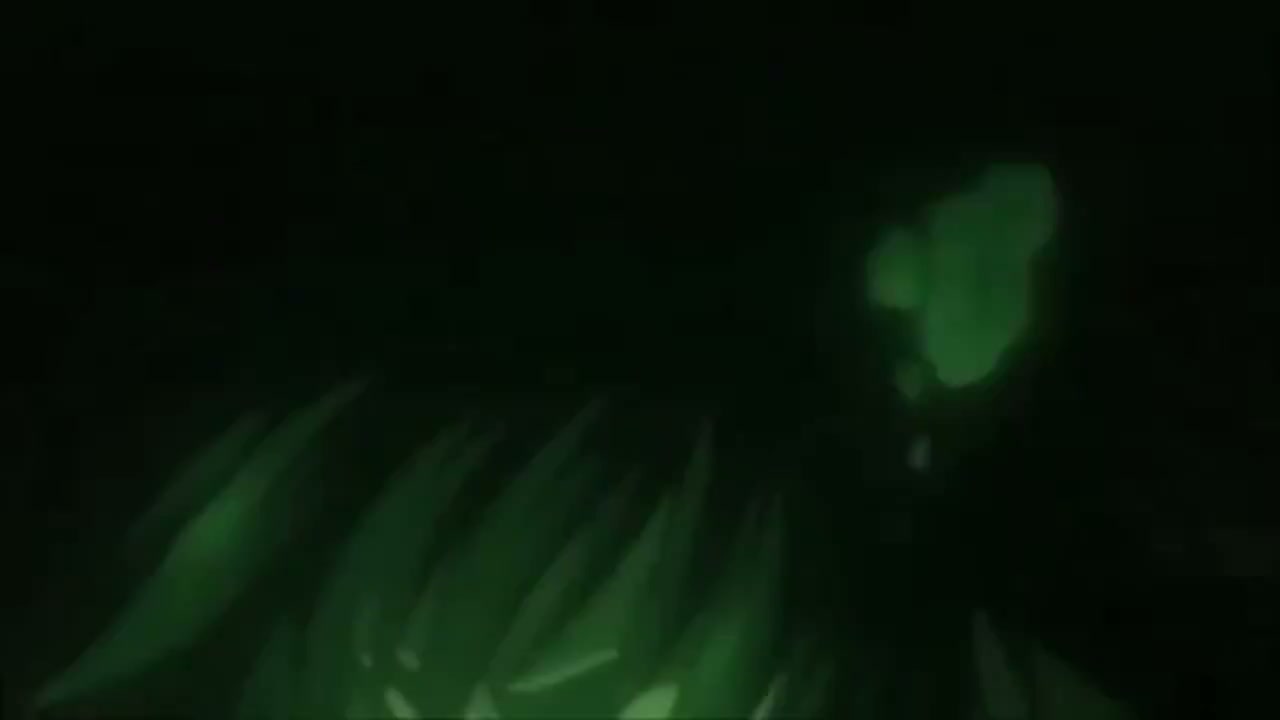 Episódio 015