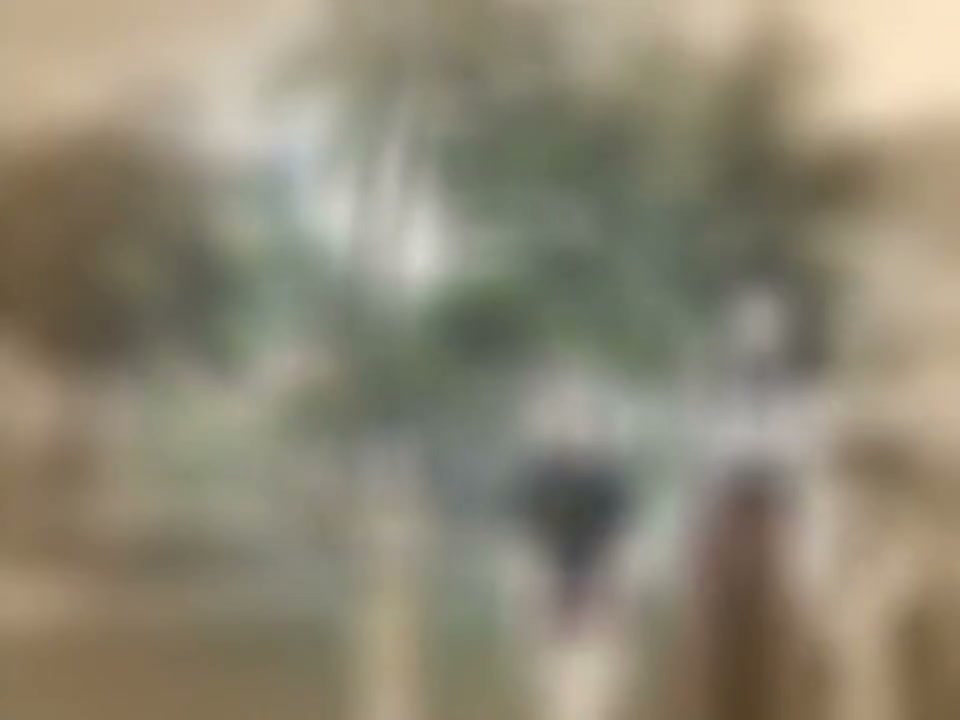 Episódio 019