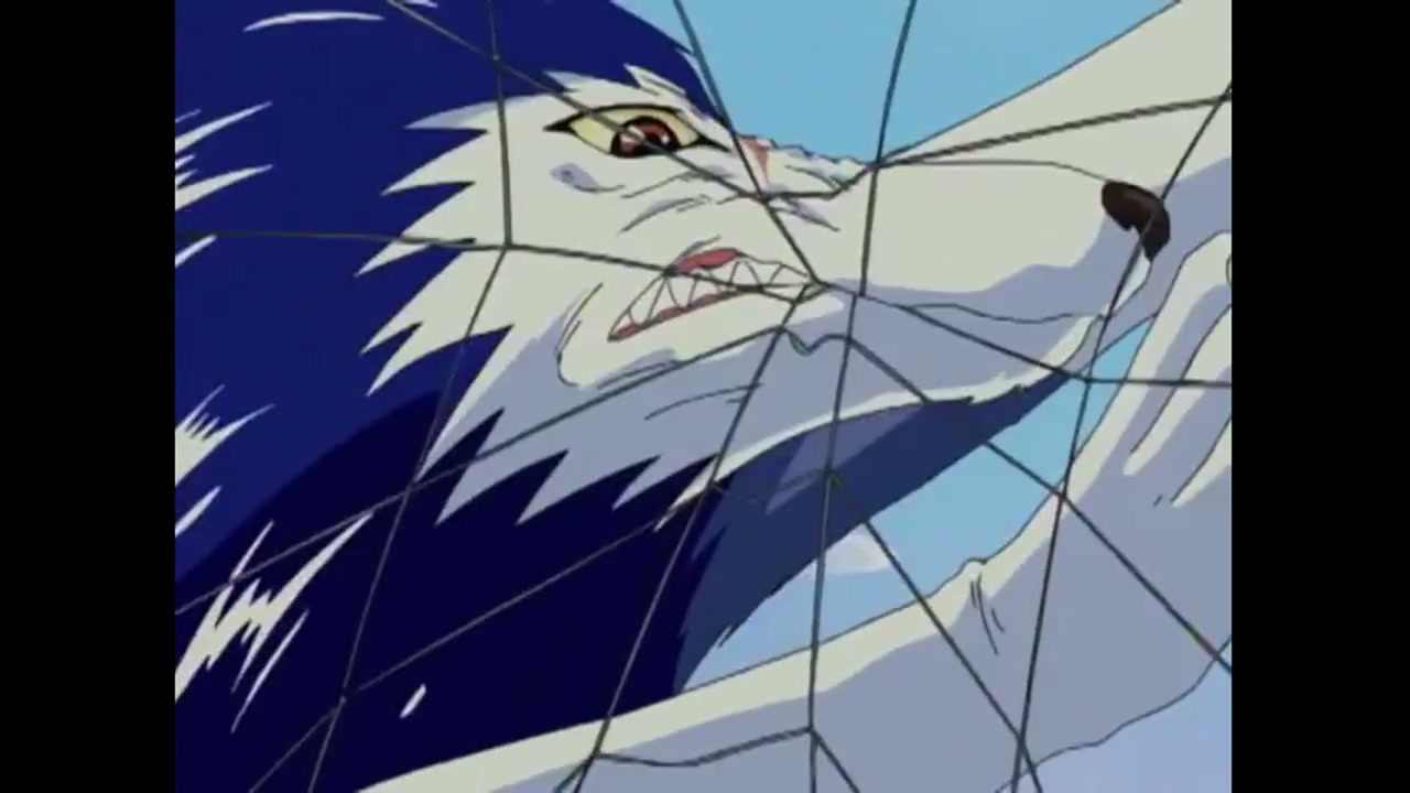 Episódio 005