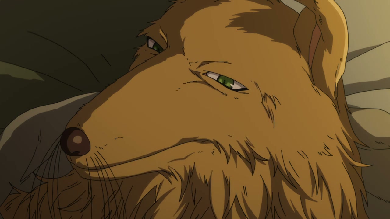 Episódio 011