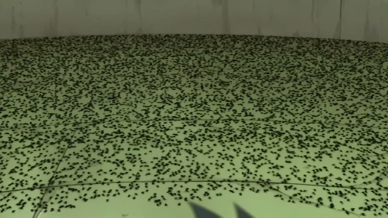 Episódio 040