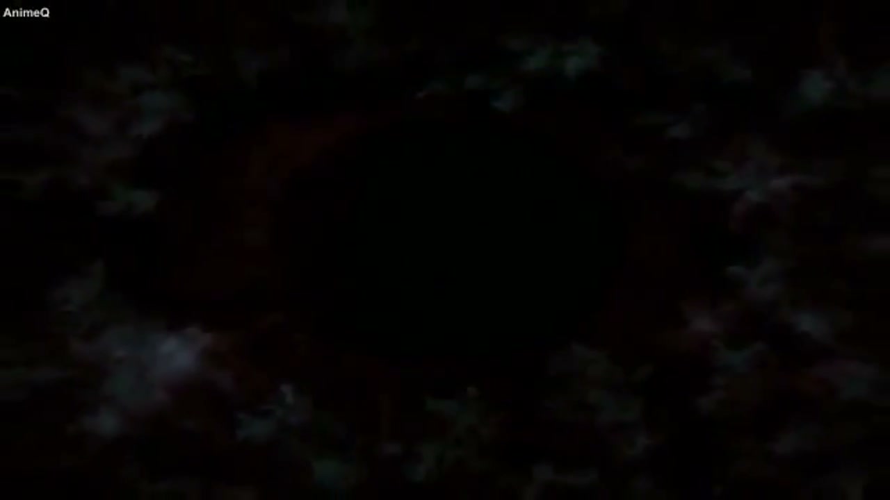 Episódio 005