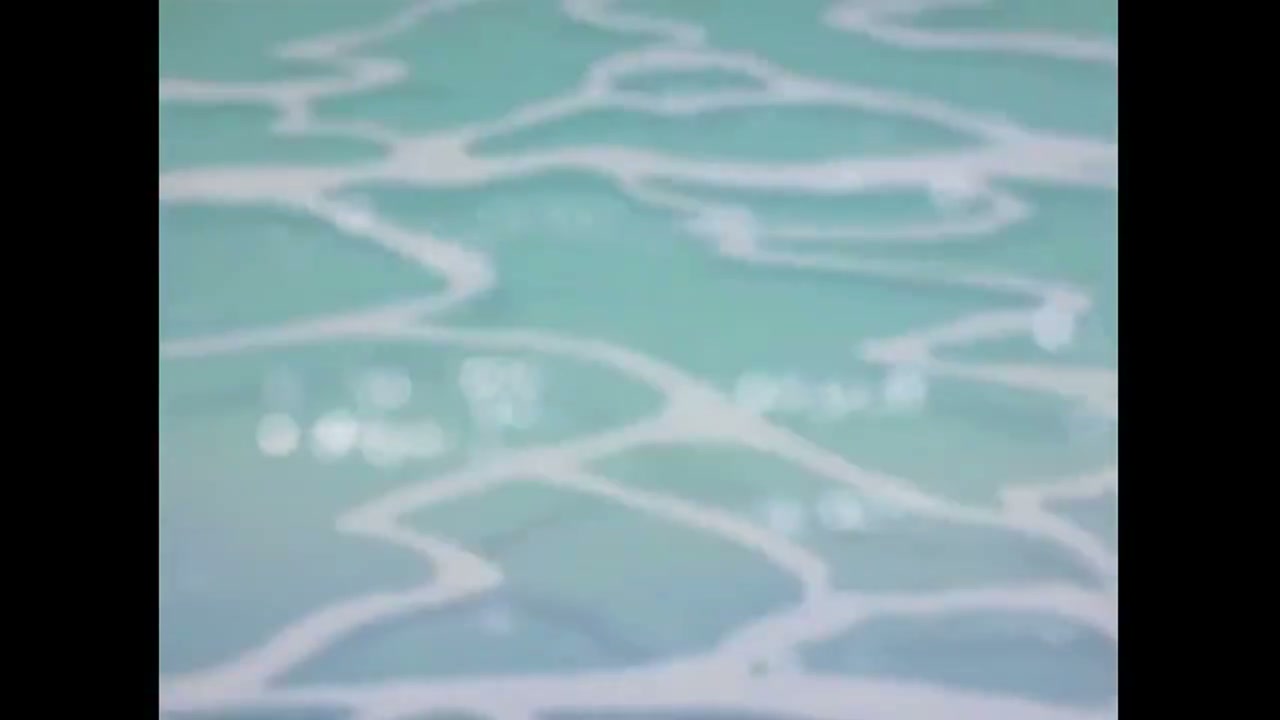 Episódio 024