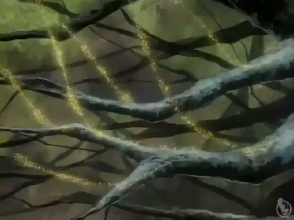 Episódio 024