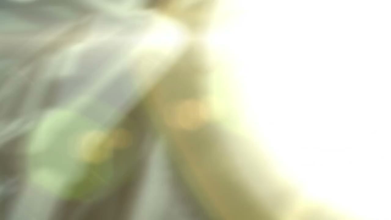 Episódio 009