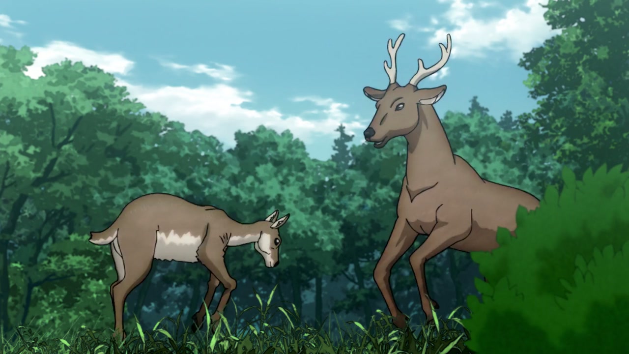 Episódio 010