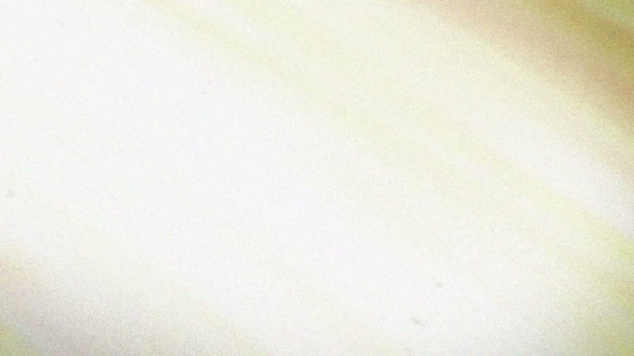 Episódio 008