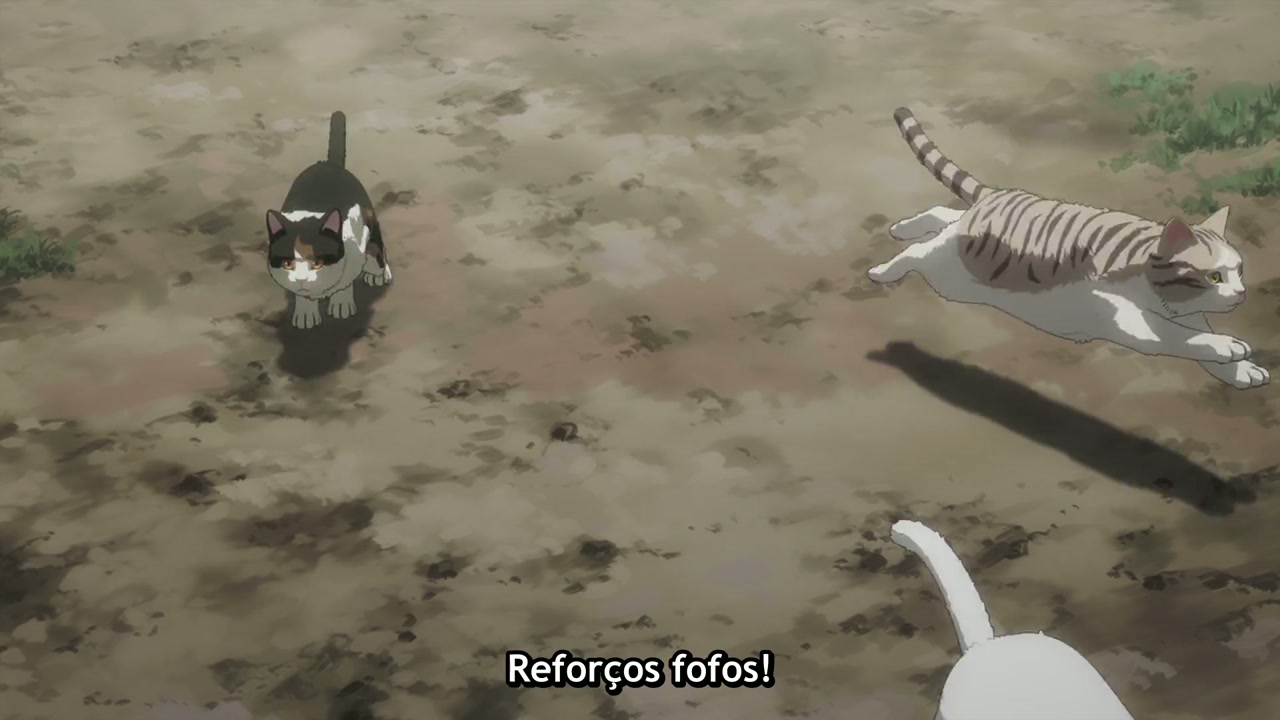 Episódio 011