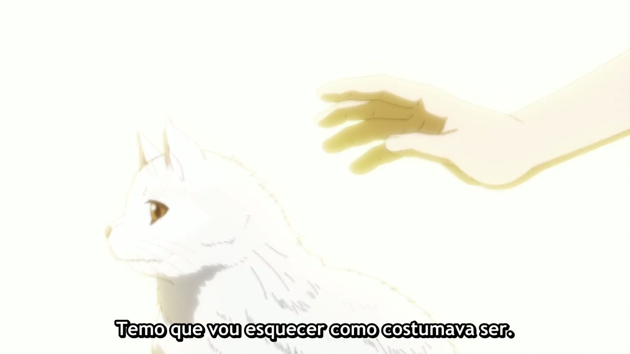 Episódio 006