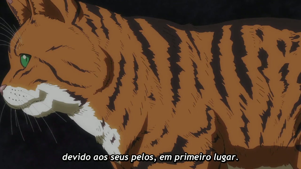 Episódio 001