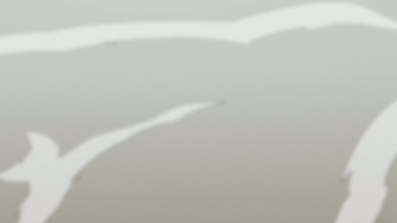 Episódio 010