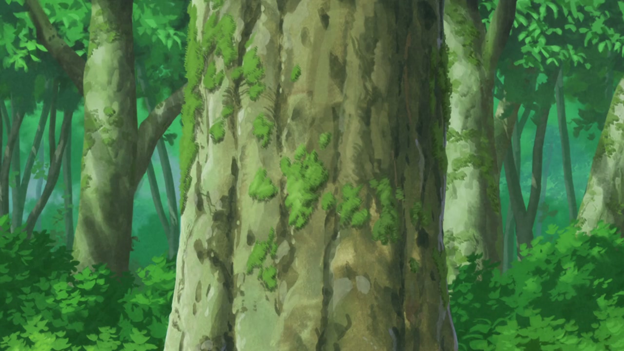 Episódio 005
