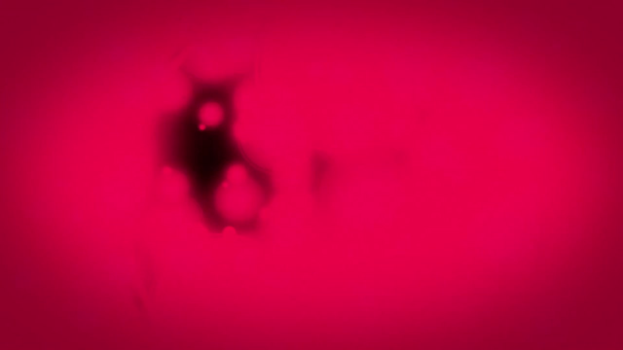 Episódio 013