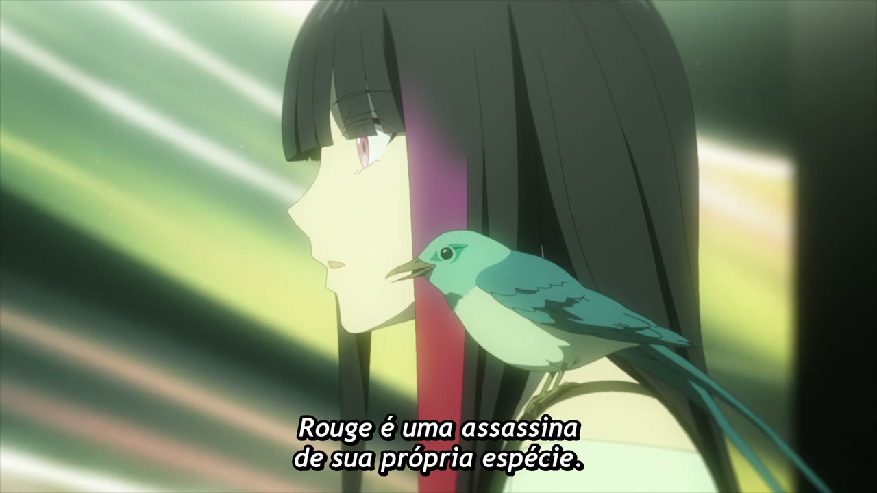 Episódio 005