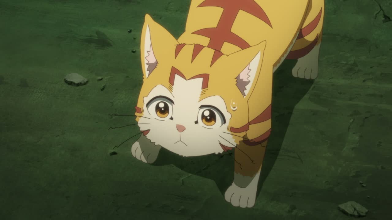 Episódio 005