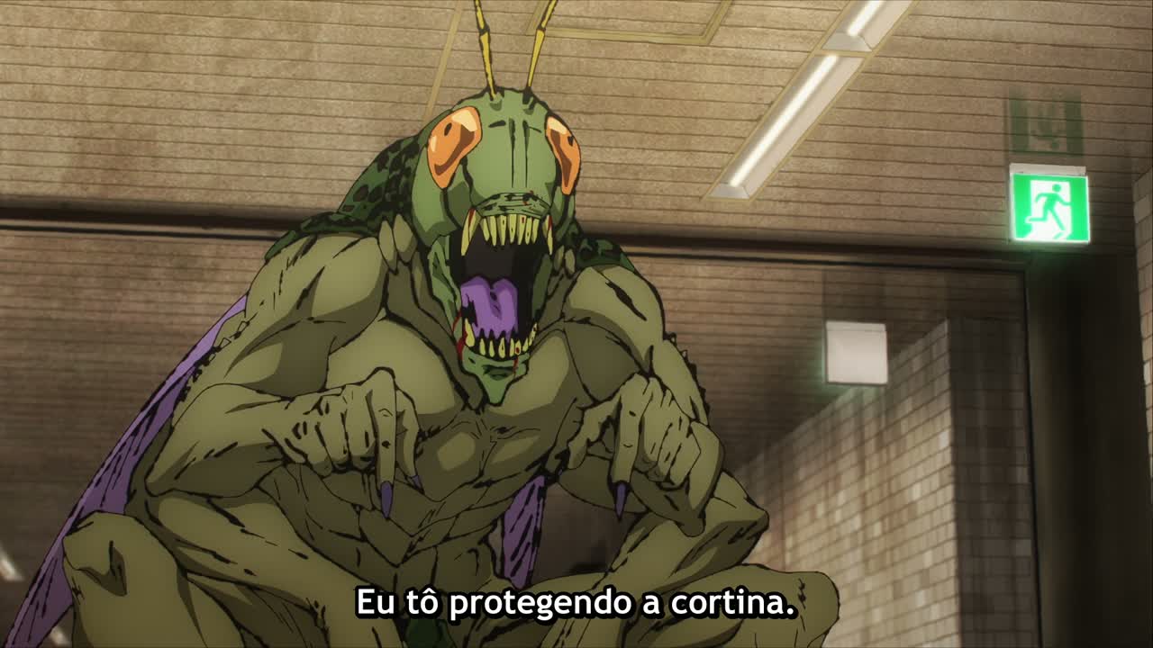 Episódio 008