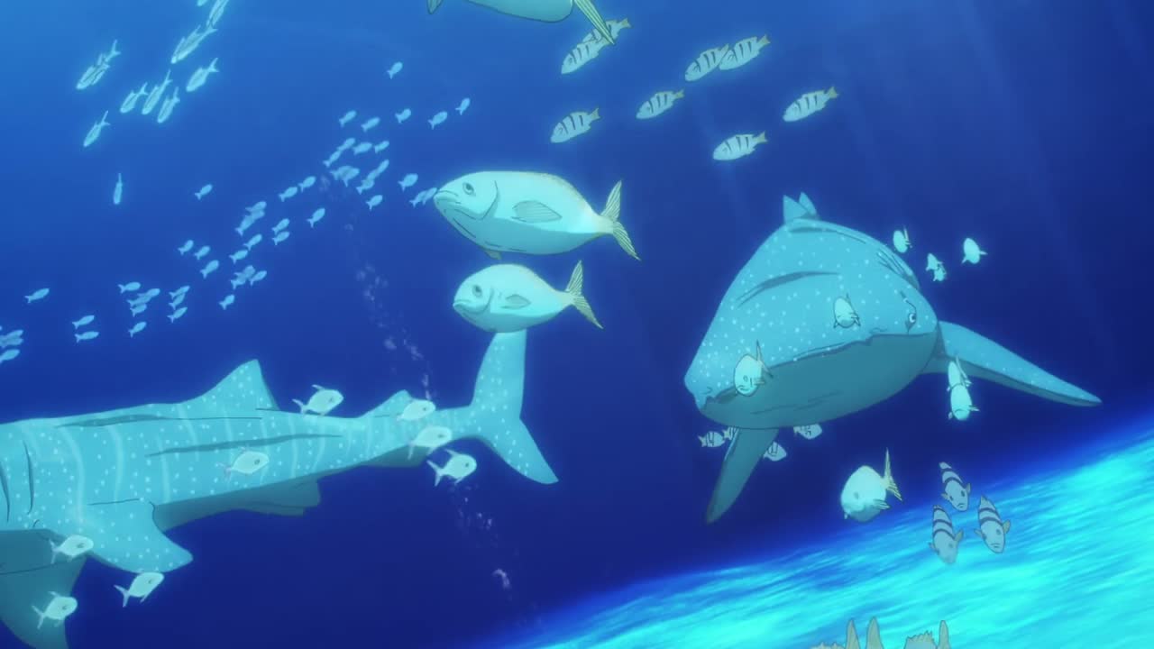 Episódio 003