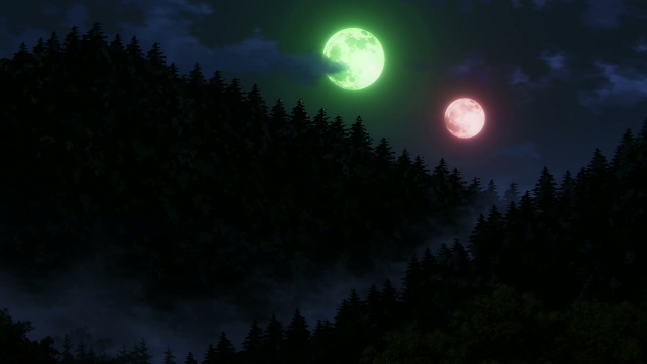 Episódio 005