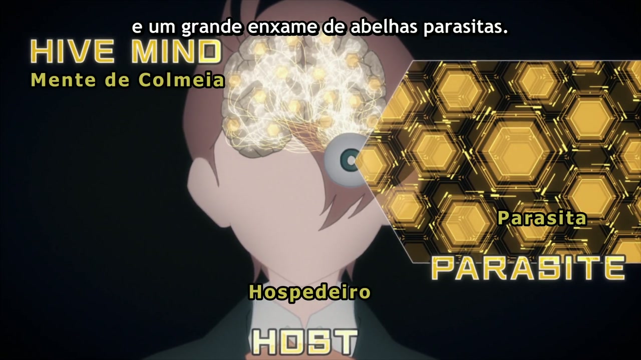 Episódio 012
