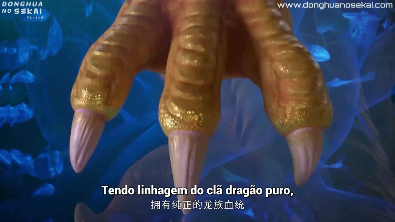 Episódio 008