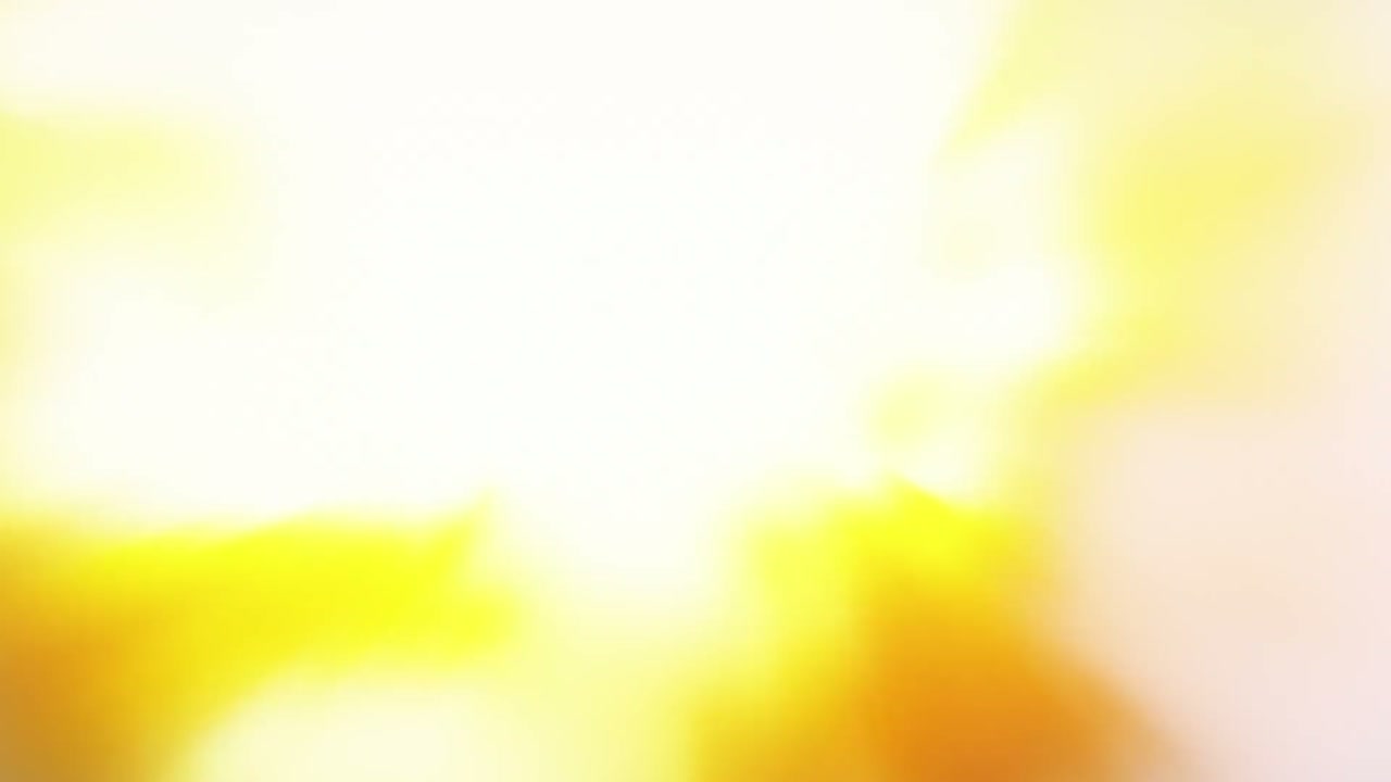 Episódio 011