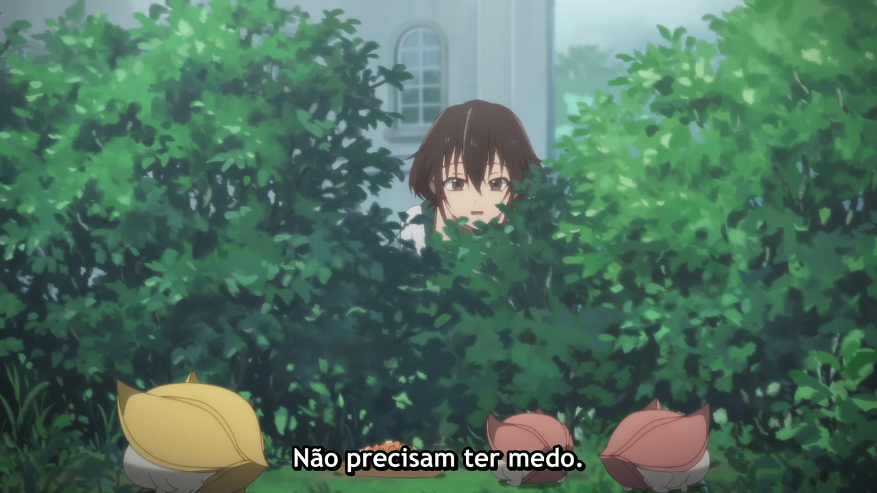 Episódio 004