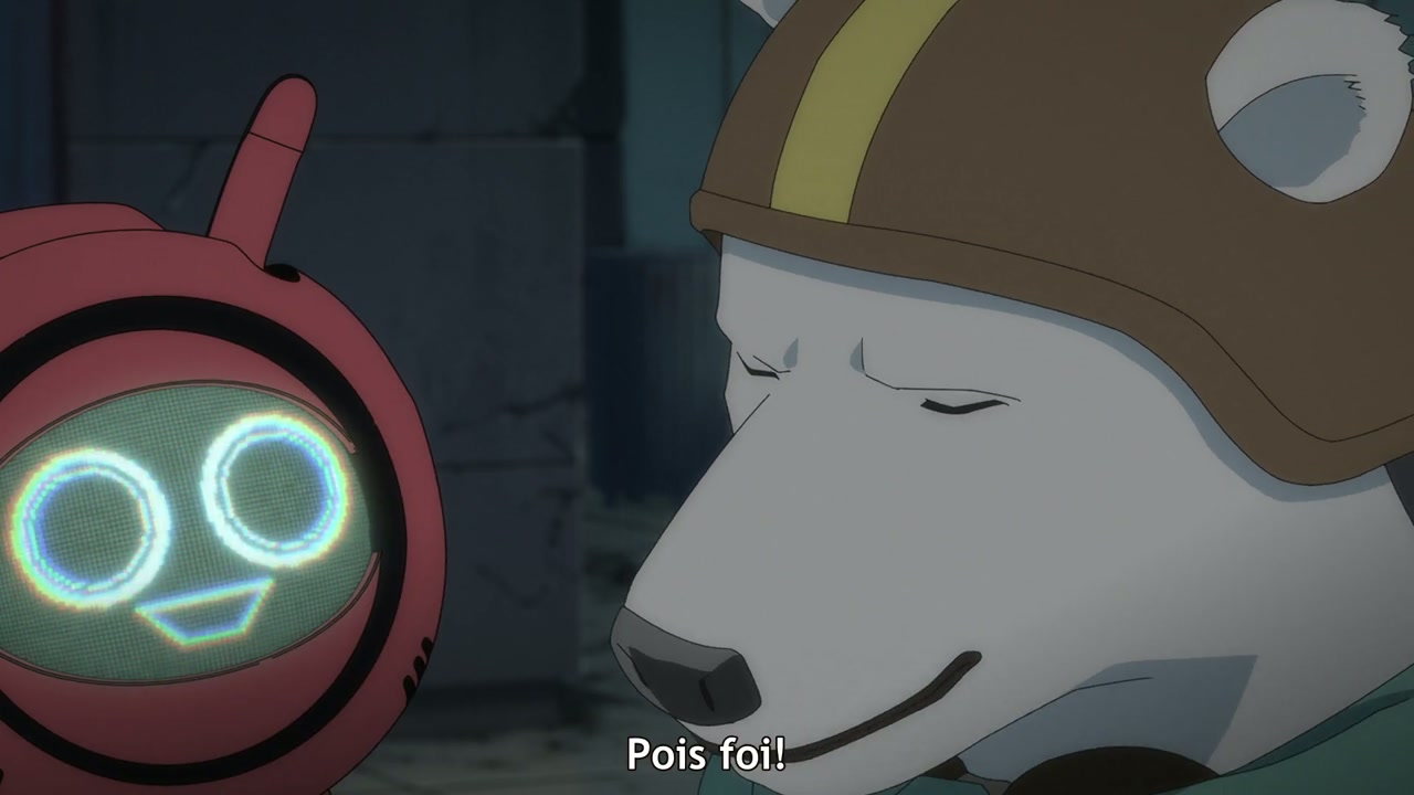 Episódio 005