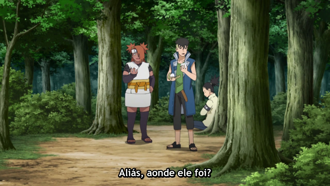 Episódio 229