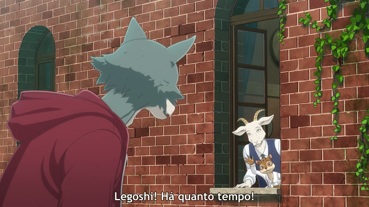 Episódio 005