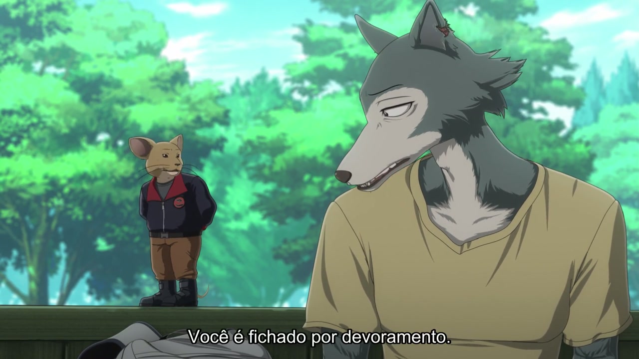 Episódio 020